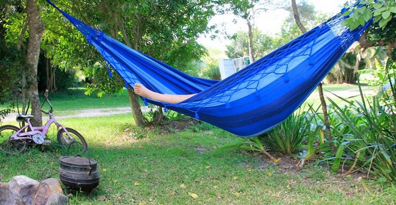 Yellowwood Forest- Morgan Bay Backpackers